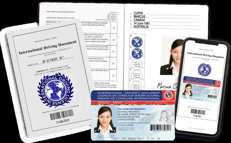 International driving licence document illustration